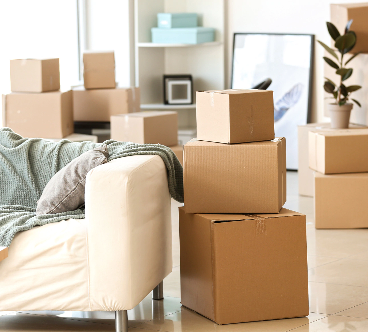 living room full of boxes for estate sale